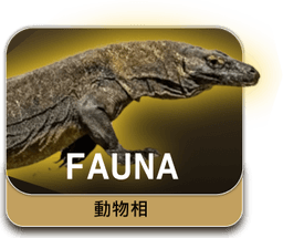 fauna